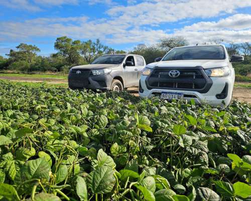 650 Has. Agrícolas en Bobadal, Santiago del Estero.