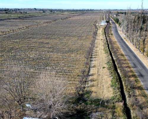 Finca de 25ha en Santa María de ORO Rivadavia