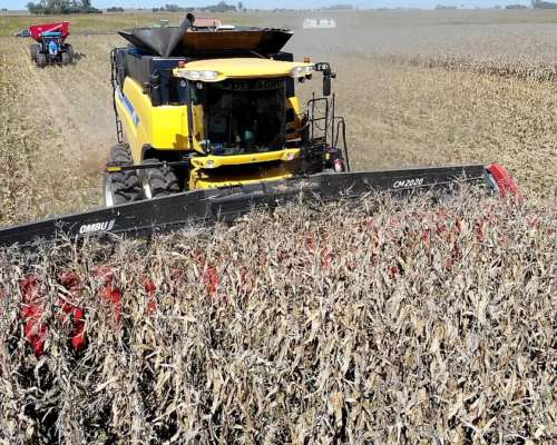 Cabezal Maicero cm 2020 de 18 Surc a 52 con Embocador, con