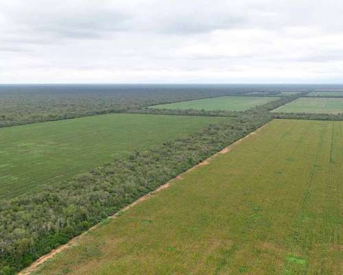 Pcia. de Salta - las Maravillas 2889 Has