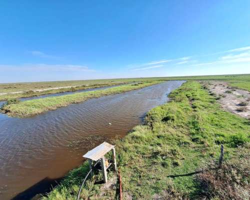Campo Campo Ganadero en Producción. Apto para Agricultura.