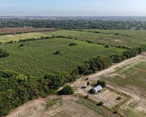 Campo en 20 de Junio - 30 Hectáreas