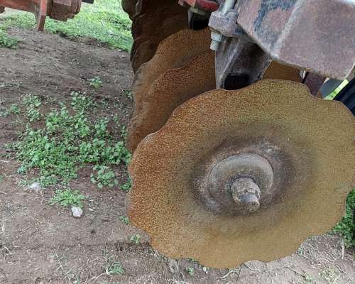 Rastra Ombu Modelo 5900 - 52 Platos