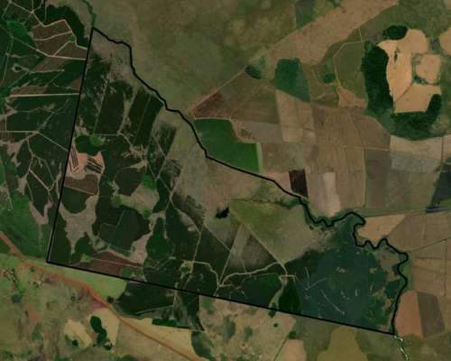 Gdor. Virasoro - 1916 Ha - Corrientes