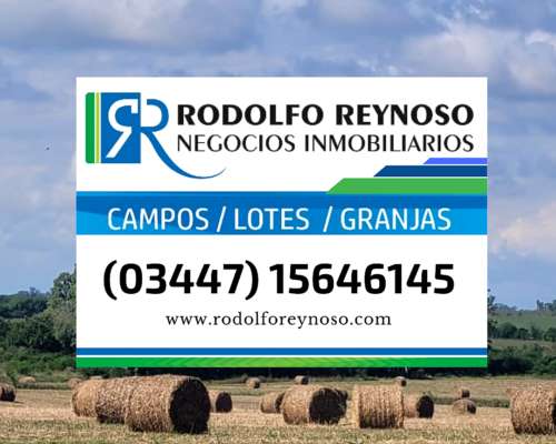 27 HA. en Villa Elisa - Entre Ríos