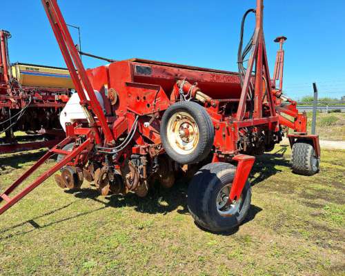 Semb Fino - Crucianelli Pionera 21 a 26