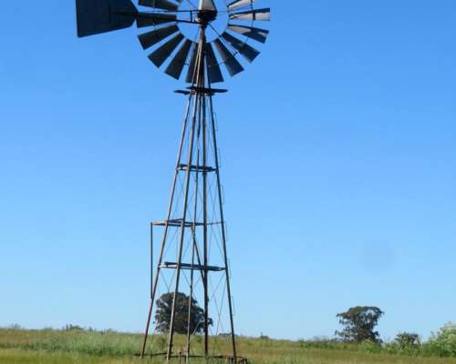 Dorbigny - 80 Ha - Buenos Aires