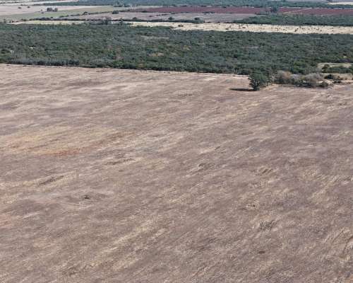 115 Has Aptitud Agrícolas SA Pereira las Colonias Santa FE