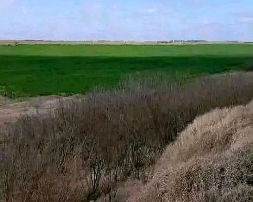 208 Hectáreas Mixtas, Viamonte - CBA