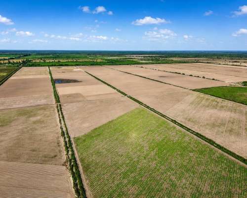 Fernández, Robles, Santiago del Estero - 1.098 Ha