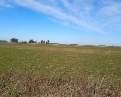 Campo Mixto 70% Agricola 29% Ganadero