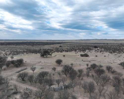 Pcia. de San Luis - las Barrancas 2170 Has