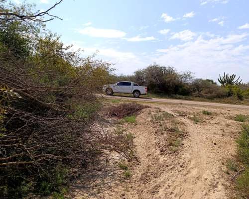 Vendo Campo Ganadero en la Pampa