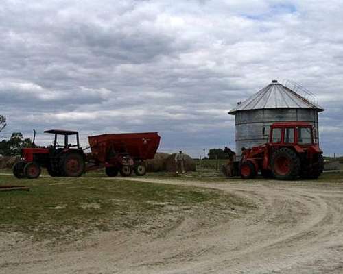 Alquiler 500 Ha de Cria Sobre la Ruta 11 Castelli