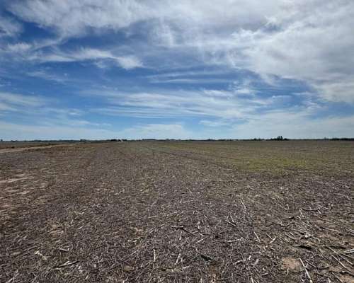 Campo Mixto 231 Hectáreas