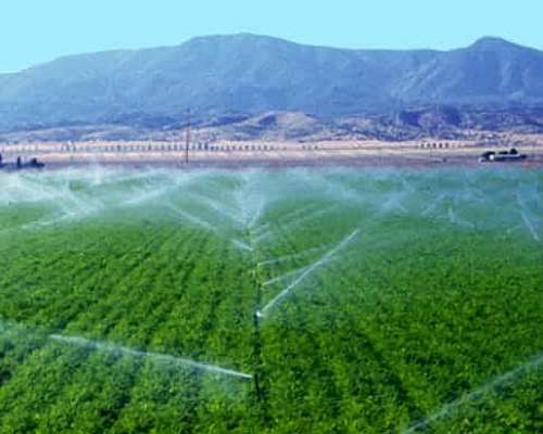 Sistemas de Riego Agricolas por Aspersion y Goteo