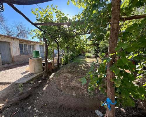 Finca en Venta de 9 Hectáreas / San Rafael - Mendoza