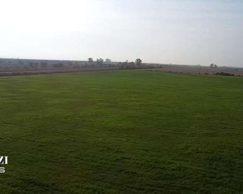 150 Ha Agricolas en Hersilia Sobre RP 38. IP 52%