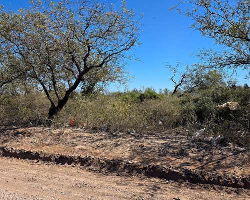 Vendo Campo en Colonia Dora 56 Has Santiago del Estero