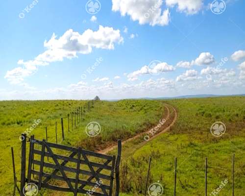 Campo en Venta de 3945 Has San Luis. Mixto