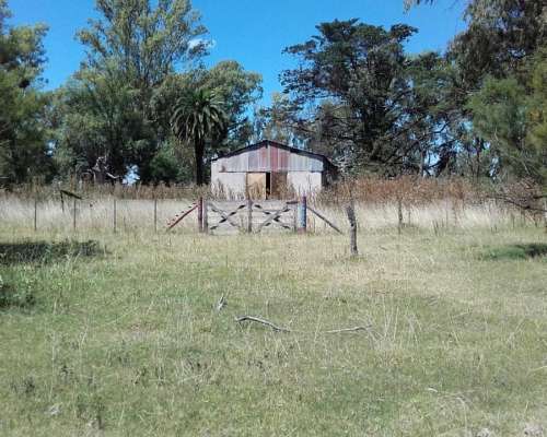 Ba3210 170 Has. Venta Mixto Bolivar Buenos Aires