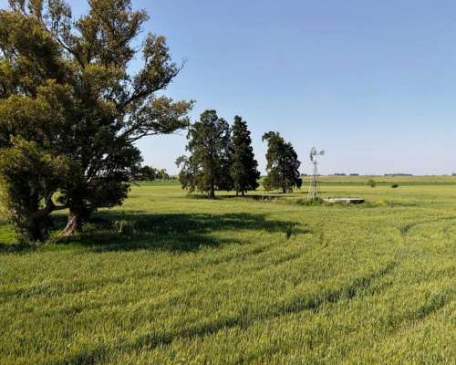 60 Hectáreas Agrícolas Sobre Ripio, Gualeguaychú.