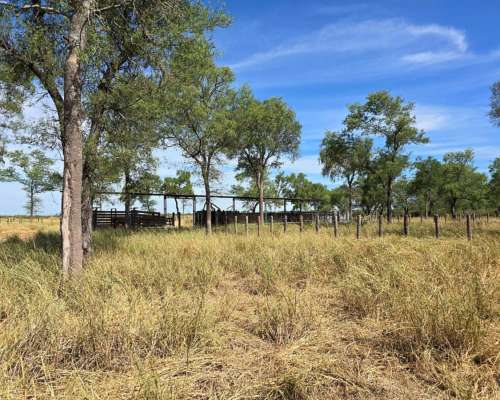 Joaquin V Gonzalez, Anta, Salta - 5.500 Ha
