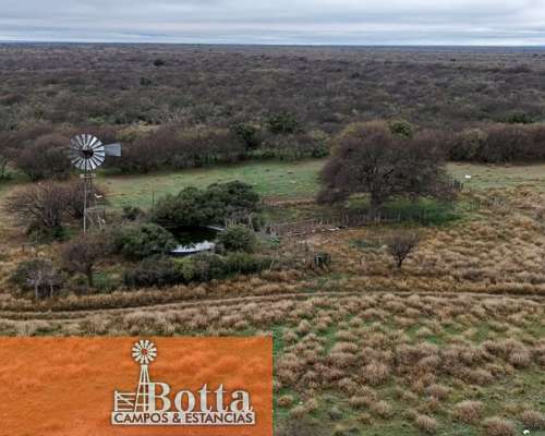Campo Ganadero en Venta en Hucal, la Pampa