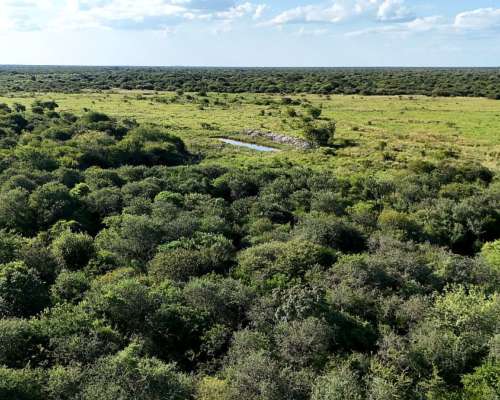 525 Hectáreas Ganaderas, Tartagal, Santa FE