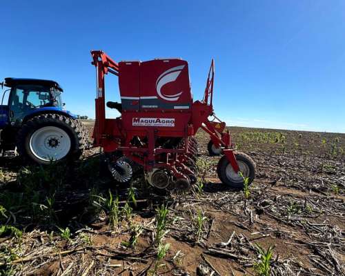 S. G. Grueso Crucianelli Gringa 7035 23 a 35 Precision Plant