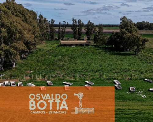 Campo 100% Agricola Sobre Ruta a 10km de Tres Arroyos