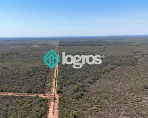 Campo en el Tunal, Salta