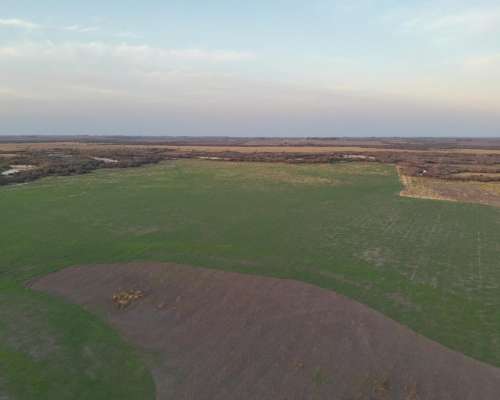 Establecimiento Mixto Centro de Entre Rios