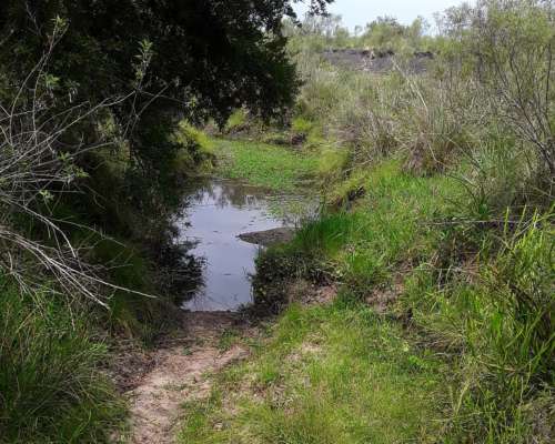 520 Hectareas en Corrientes