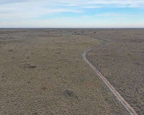 Pcia. de la Pampa - Santa Isabel 20000 Ha