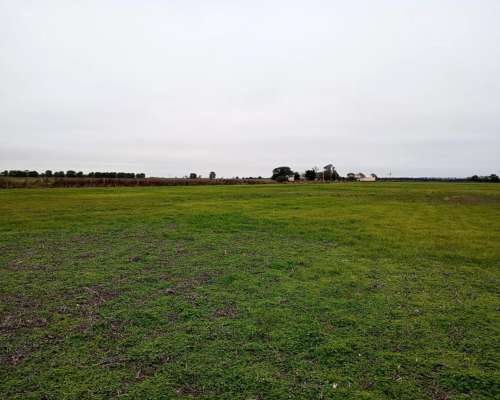 Campo 54ha - Providencia