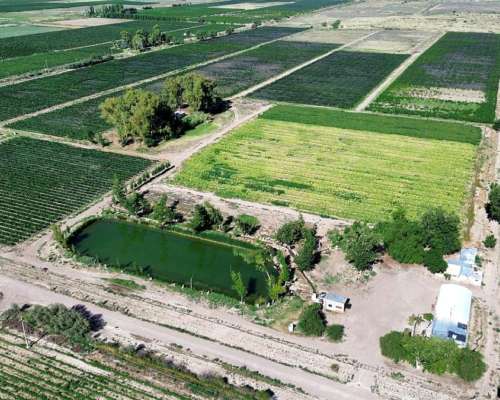 Finca 32ha Urgarteche Luján de Cuyo
