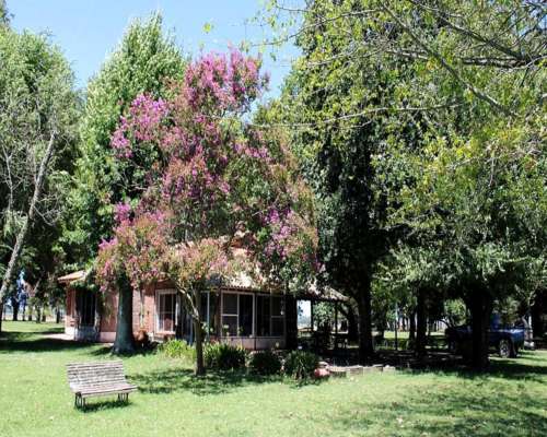 Campo en Venta de 110 Has en Mercedes. Ganadero