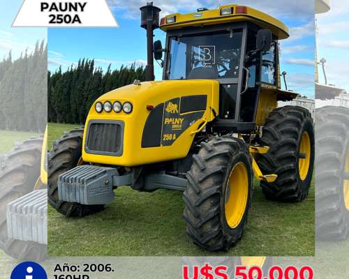 Pauny 250 a DT