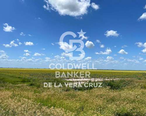 Campo Ganadero 1000 Has., Piamonte, Santa FE