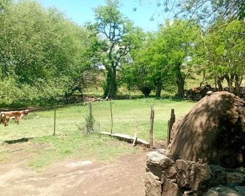 Vendo Campo en la Carolina,san Luis