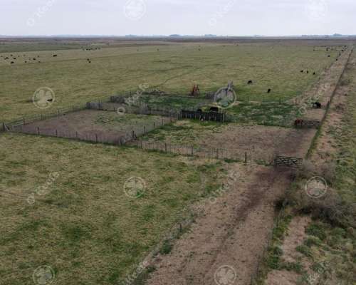 Campo en Venta de 210 Has en Dolores