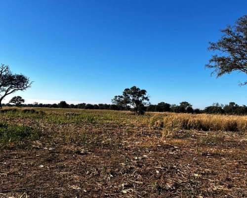 Campo Mixto Agricola y Ganadero.