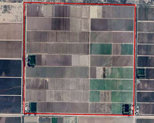 100 Ha los Alamos Beltran 3 Pozos