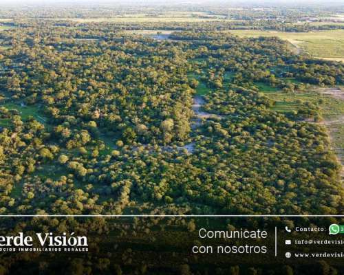 Campo Ganadero de 73 Has en Venta - Chaco Villa Berthet