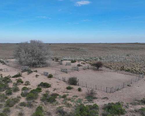 Pcia. de la Pampa - Santa Isabel 20000 Ha