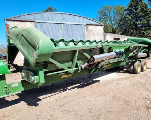 Maicero Ombu cm 2008 Verde