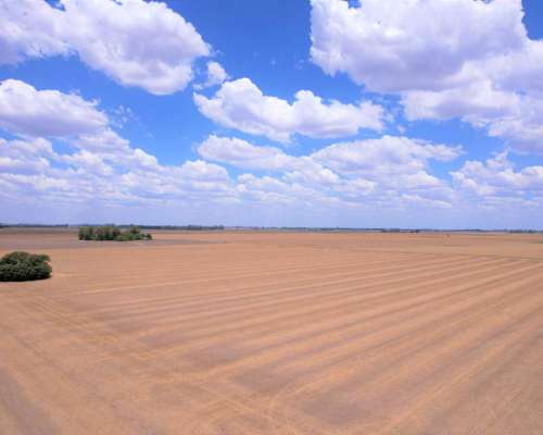 23 Ha Acevedo. Agricolas