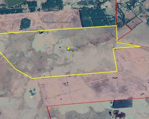 Se Vende Campo Ganadero de 505 Ha en Virasoro, Corrientes