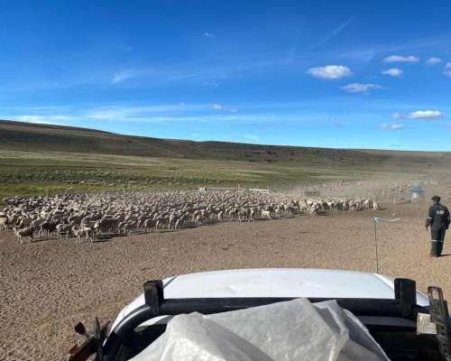 Bajo Caracoles, Rio Chico, Santa Cruz, Argentina